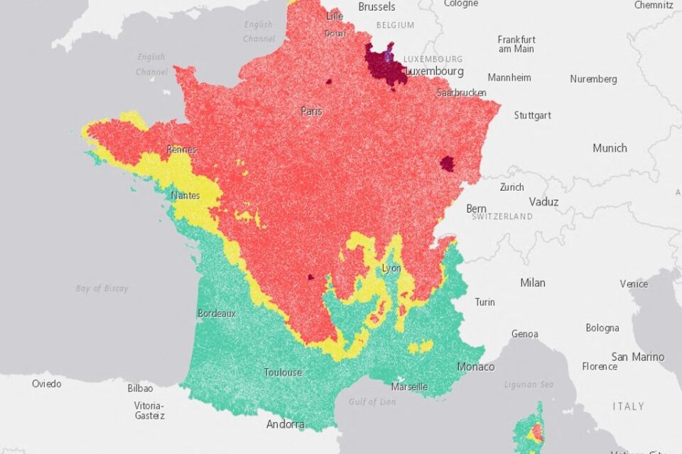 Alerte Pollen : Une Grande Partie du Pays Soumise à un Pic de Bouleau