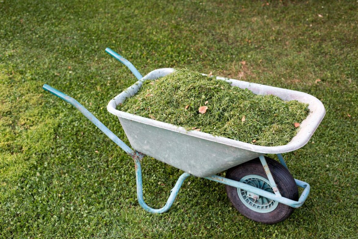 Six façons pratiques d’utiliser vos tontes de gazon au jardin