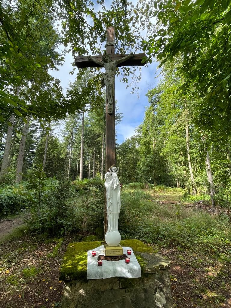 Défense des Patrimoines Menacés : La Croix de Faubouloin Dans Le Morvan Est Tronçonnée