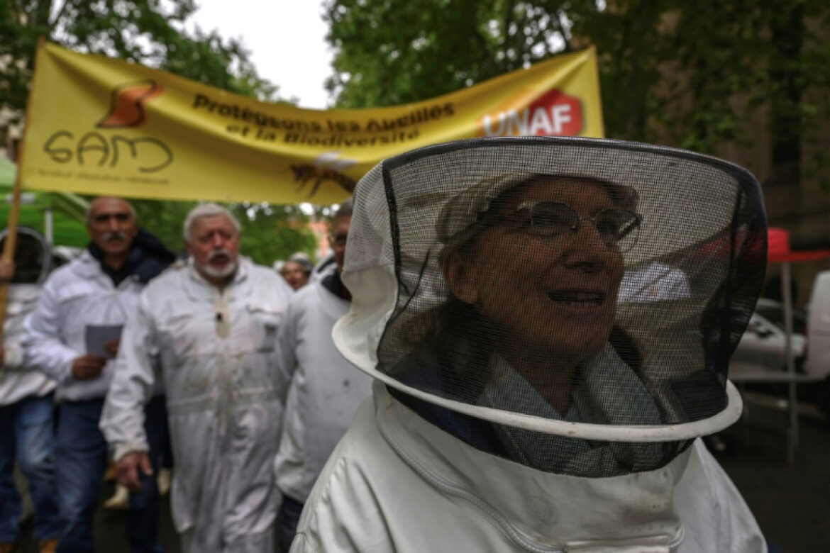 Contre-pesticides : des apiculteurs manifestent dans deux grandes villes françaises