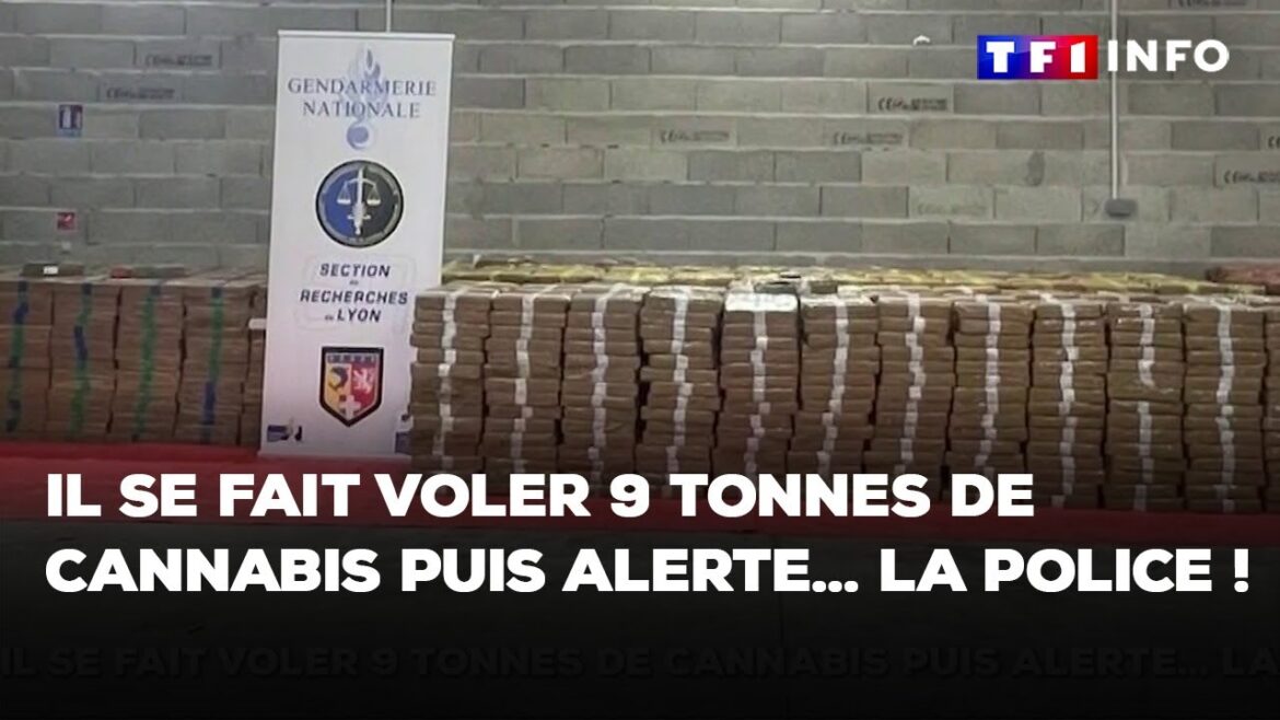 Saisie record de cannabis : la police déjoue un vol organisé près de Lyon