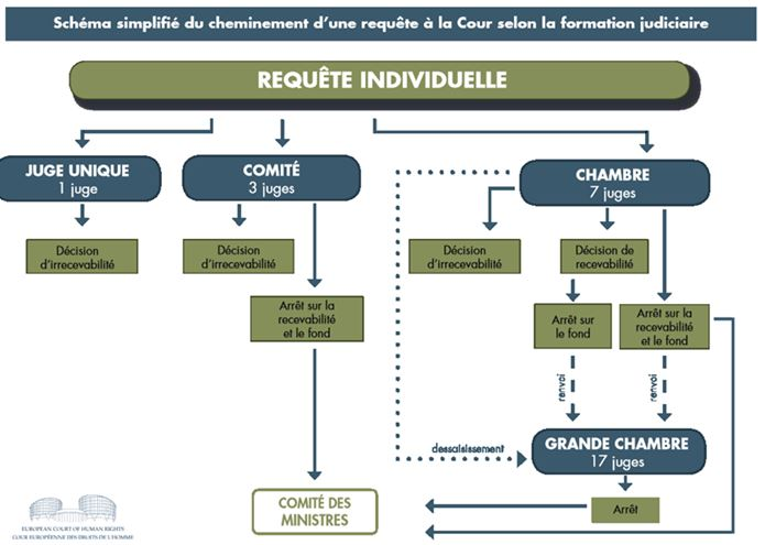 Le Royaume-Uni adopte des directives polémiques sur les peines de prison pour rééquilibrer la justice