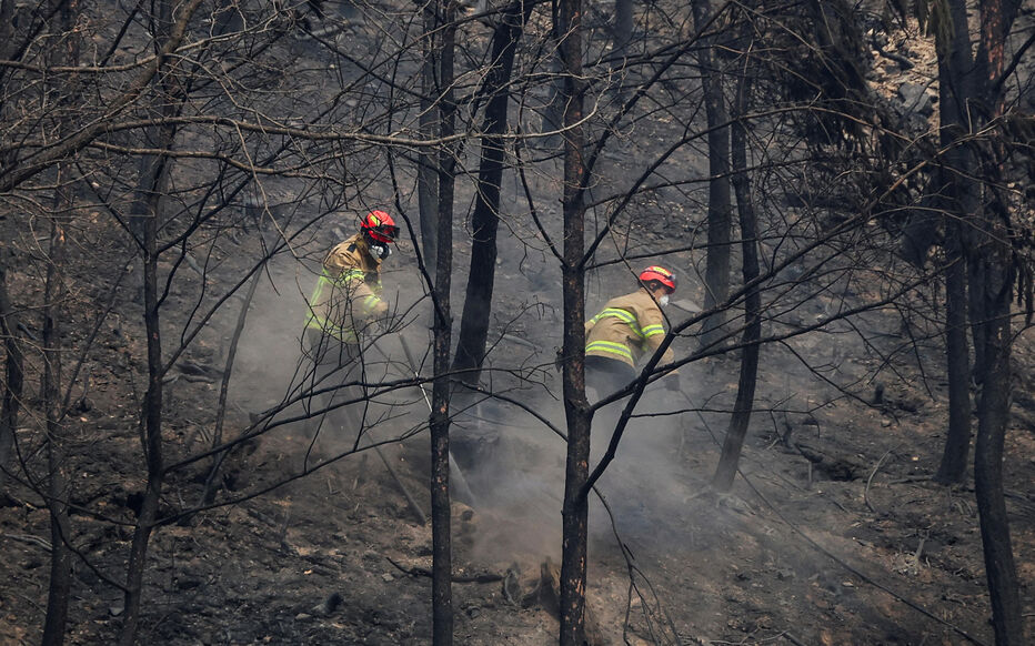 Incendies meurtriers en Corée du Sud : 27 morts dans le plus grave désastre forestier de l’histoire