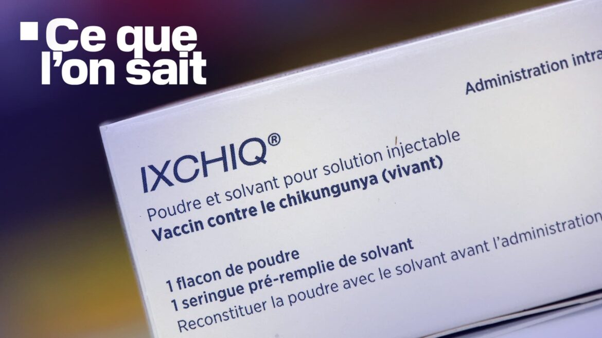 Retrait du vaccin Ixchiq pour les seniors face à des « événements indésirables graves »
