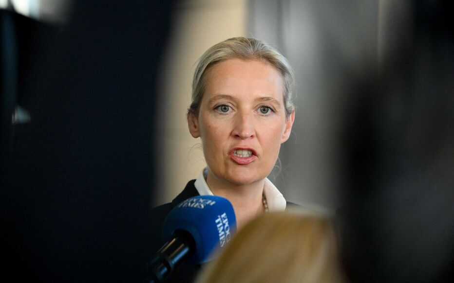 Suspension provisoire du classement « extrémiste de droite » de l’AfD