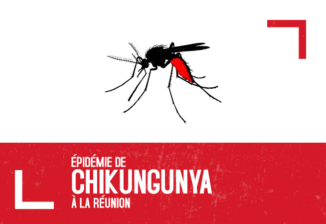 Epidémie de chikungunya : La Réunion atteint un seuil d’inquiétude avec 4 156 cas en une semaine