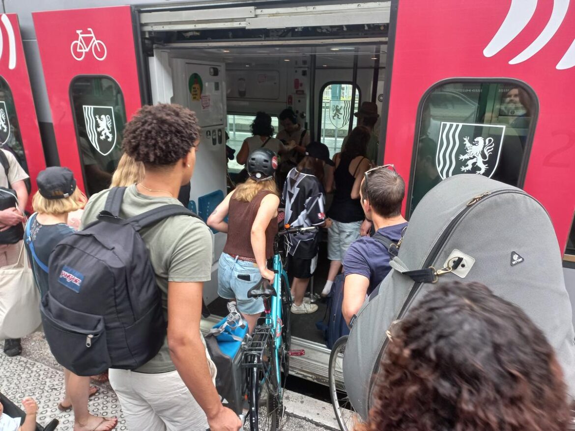 Retour du Billet Vélo : un supplément obligatoire de 3 euros sur plusieurs lignes TER en Nouvelle-Aquitaine