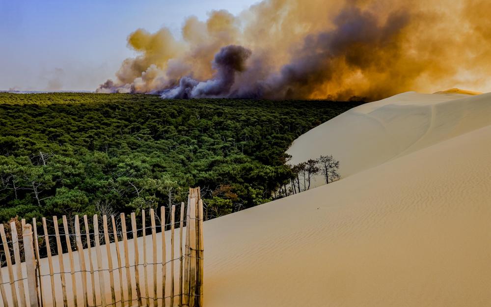 Stigmates des Incendies Estivaux 2022 Observés au Dessus de La Teste-de-Buch