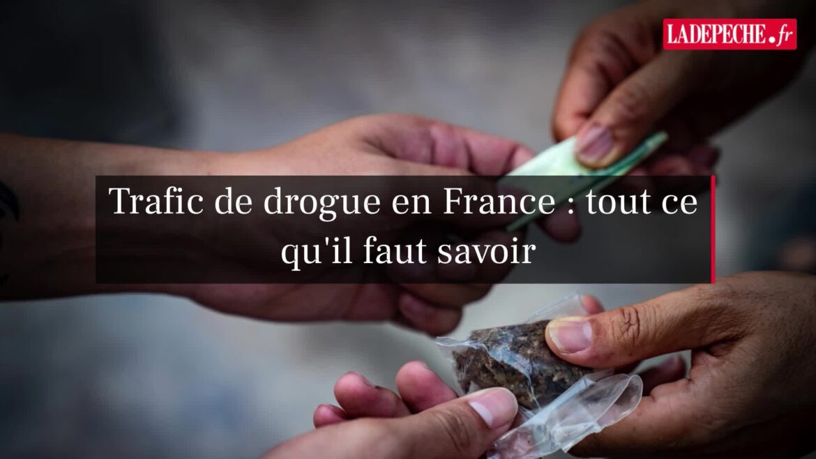 Un Égyptien incarcéré pour homicide involontaire d’un enfant de cinq ans après l’avoir intoxiqué à la cocaïne