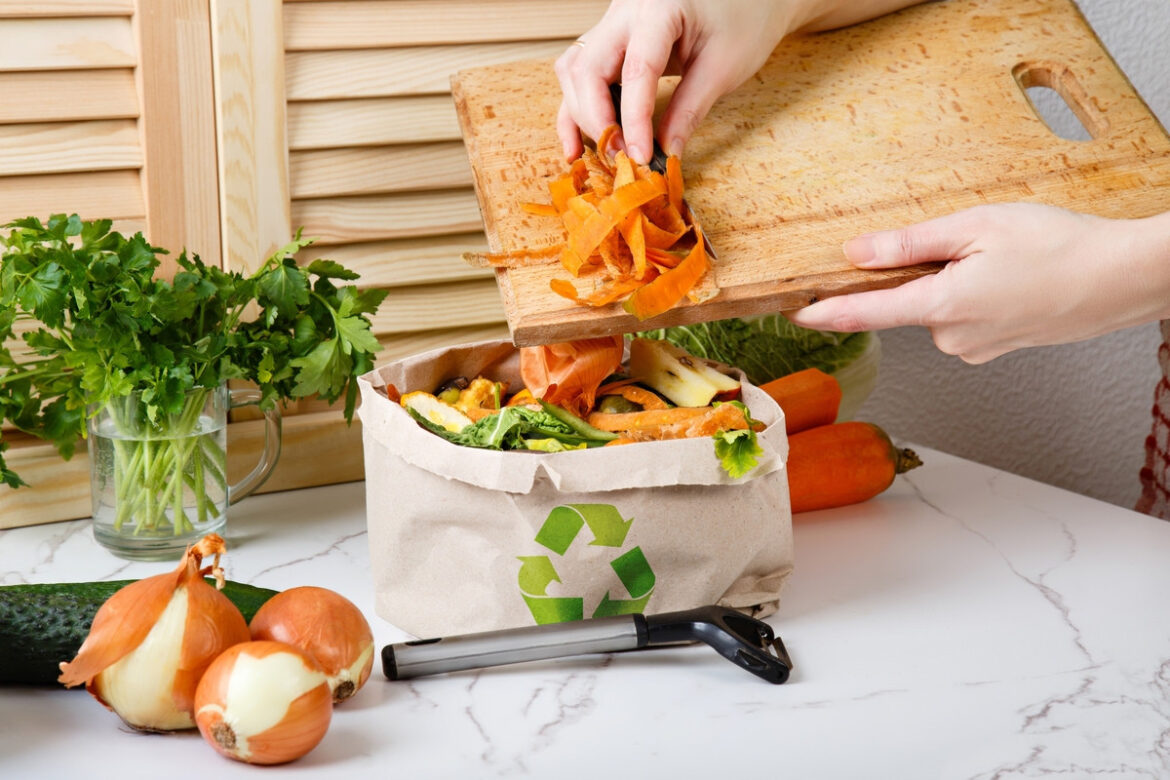 Privilégier le Compostage : Une Recette Écologique Facile à Adopter