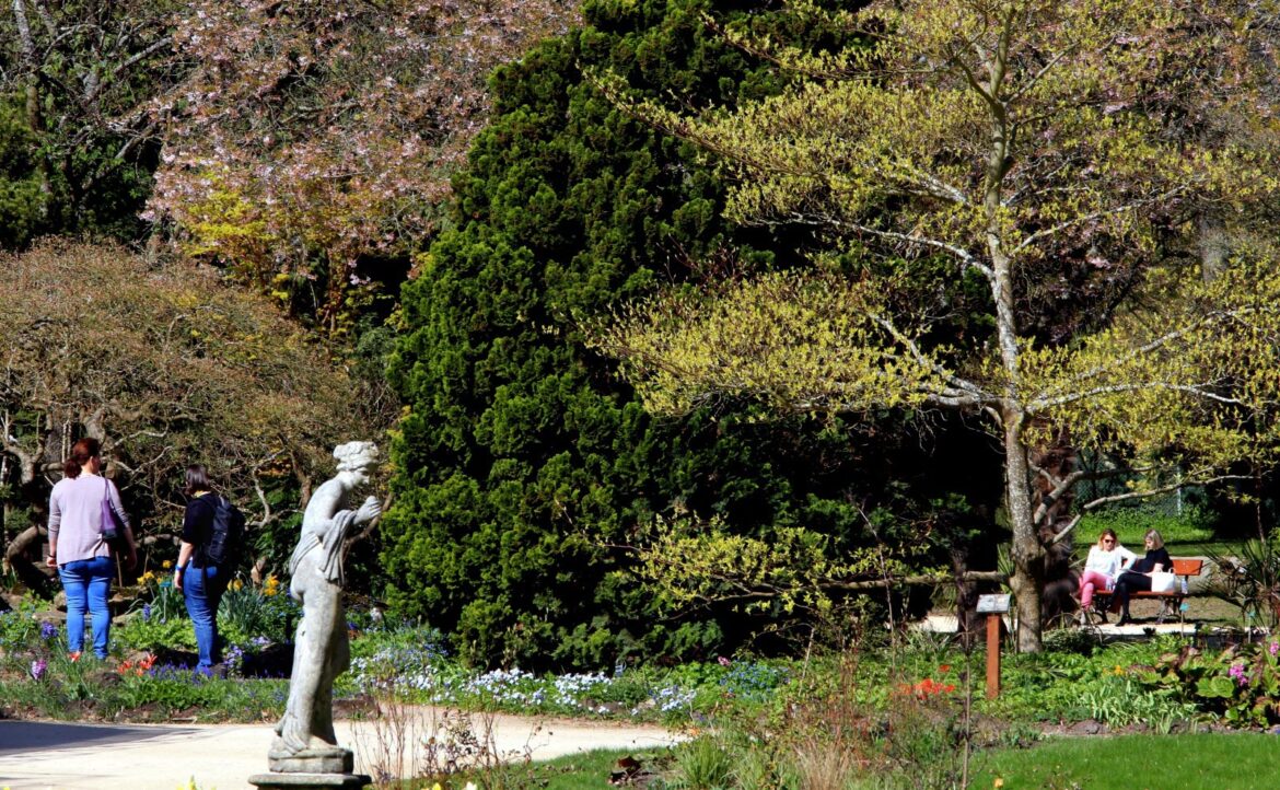 Relaxe d’un ressortissant kosovar après des menaces de décapitation au Jardin botanique de Metz