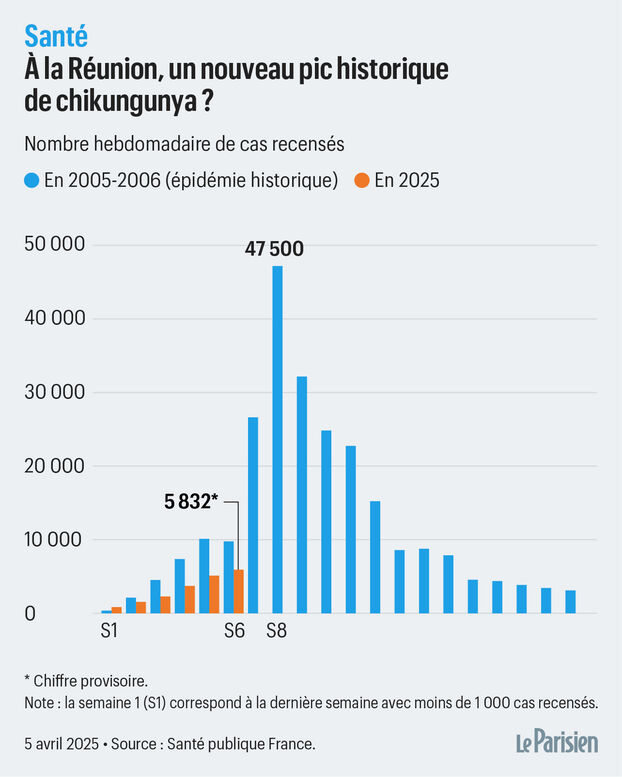 Épidémie de chikungunya : La Réunion maintient un niveau élevé d’infections malgré des signes de ralentissement
