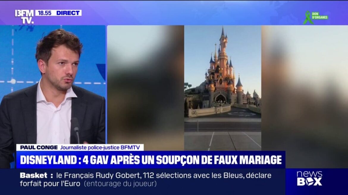 Un Britannique organise un mariage à Disneyland Paris avec une fillette de 9 ans : une affaire choquante