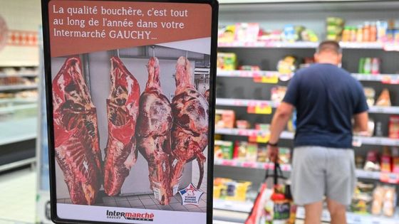 Santé publique en crise : une épidémie d’E. coli liée à des boucheries halal dévoile un système défaillant