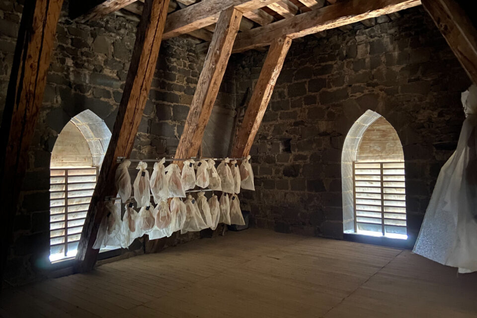 Les jambons de Saint-Flour : une initiative qui fait bouillir la Drac