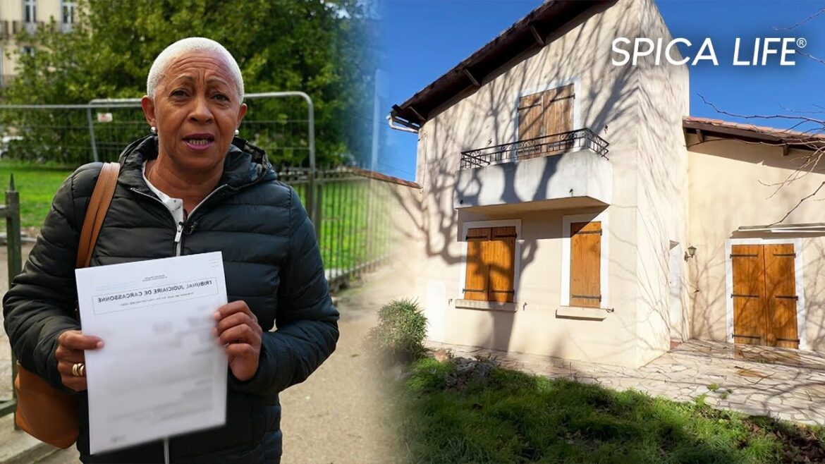 Un propriétaire français confronté à une squatteuse violente et menaçante