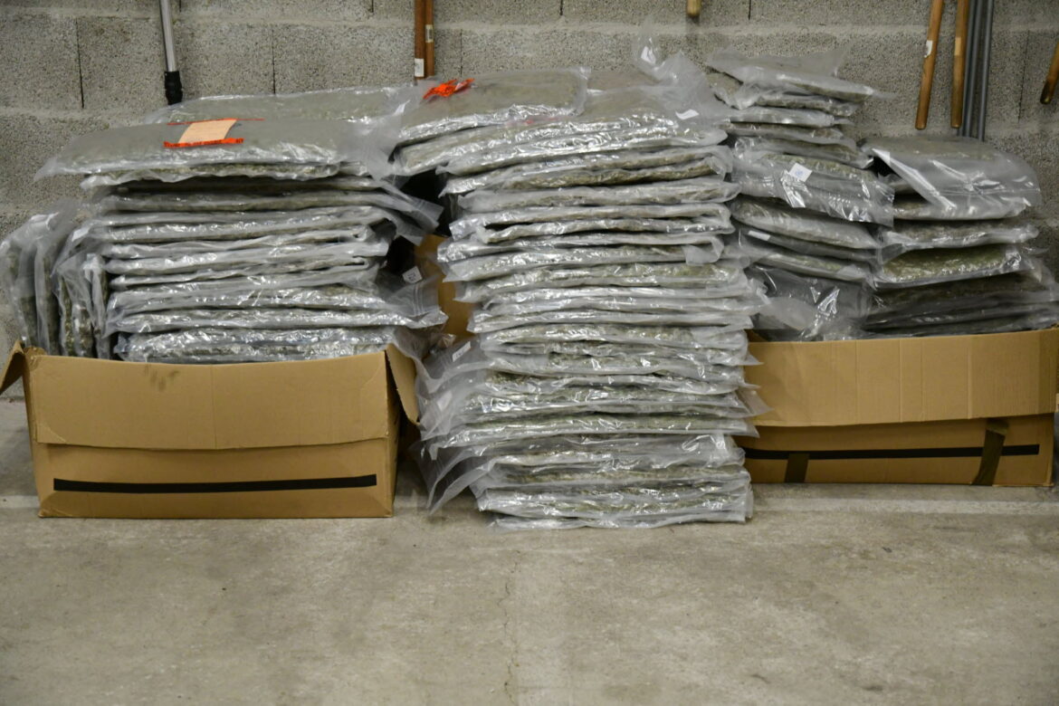 Saisie massive de cannabis en Rhône : un réseau criminel démantelé après une fuite spectaculaire