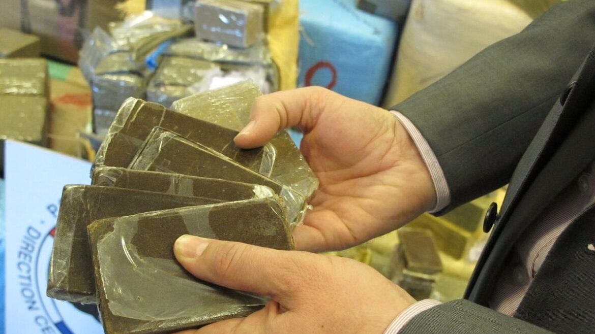 L’effondrement d’un réseau de trafic de drogue à Mantes-la-Ville : 755 kg de résine de cannabis saisis