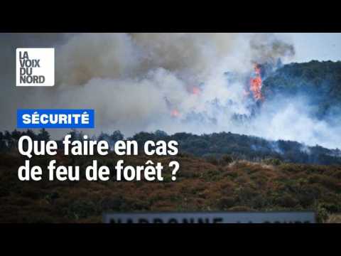 Incendie en forêt d’Écault : une menace pour l’environnement et la sécurité publique