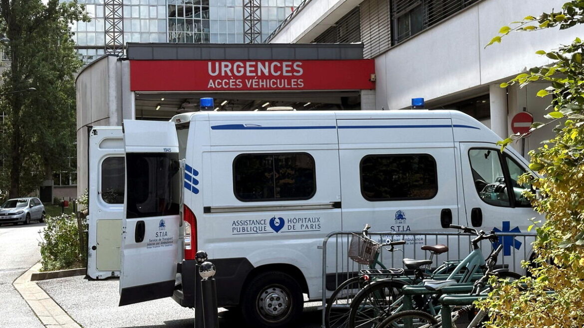 Un jeune Algérien meurt de la rage à Perpignan : une tragédie rare et inquiétante