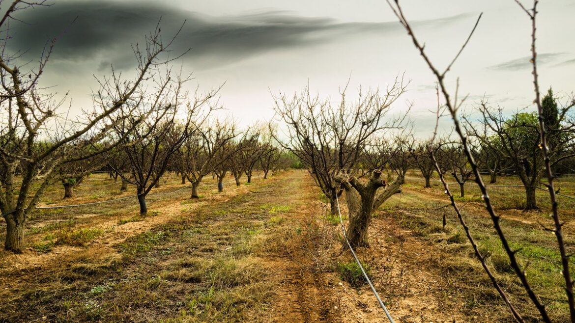 L’Occitanie débloque 2 millions d’euros pour des chercheuses exilées