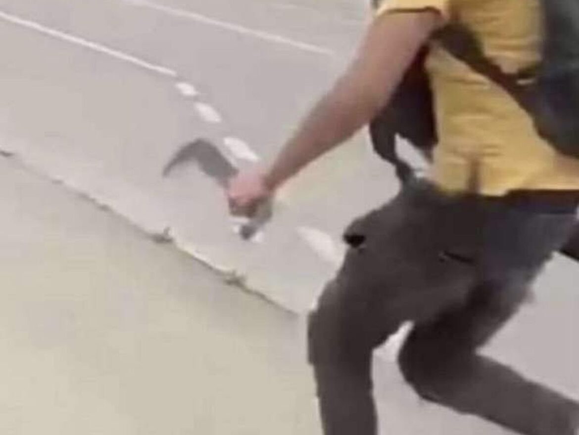 Attaque brutale en pleine rue à Cormeilles-en-Parisis : un jeune homme sous obligation de quitter le territoire français agressé avec une machette