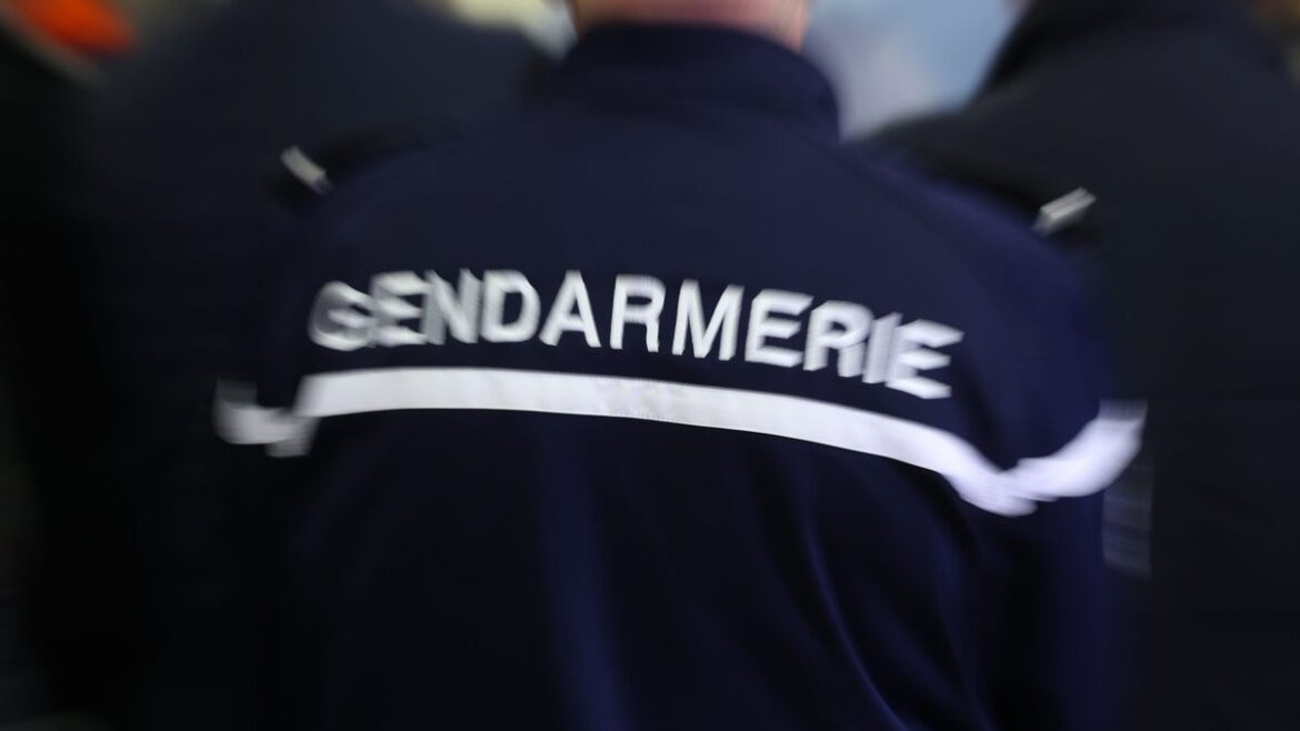 Une famille enlevée et ligotée dans les bois de Montfort-sur-Meu : l&rsquo;enquête débute