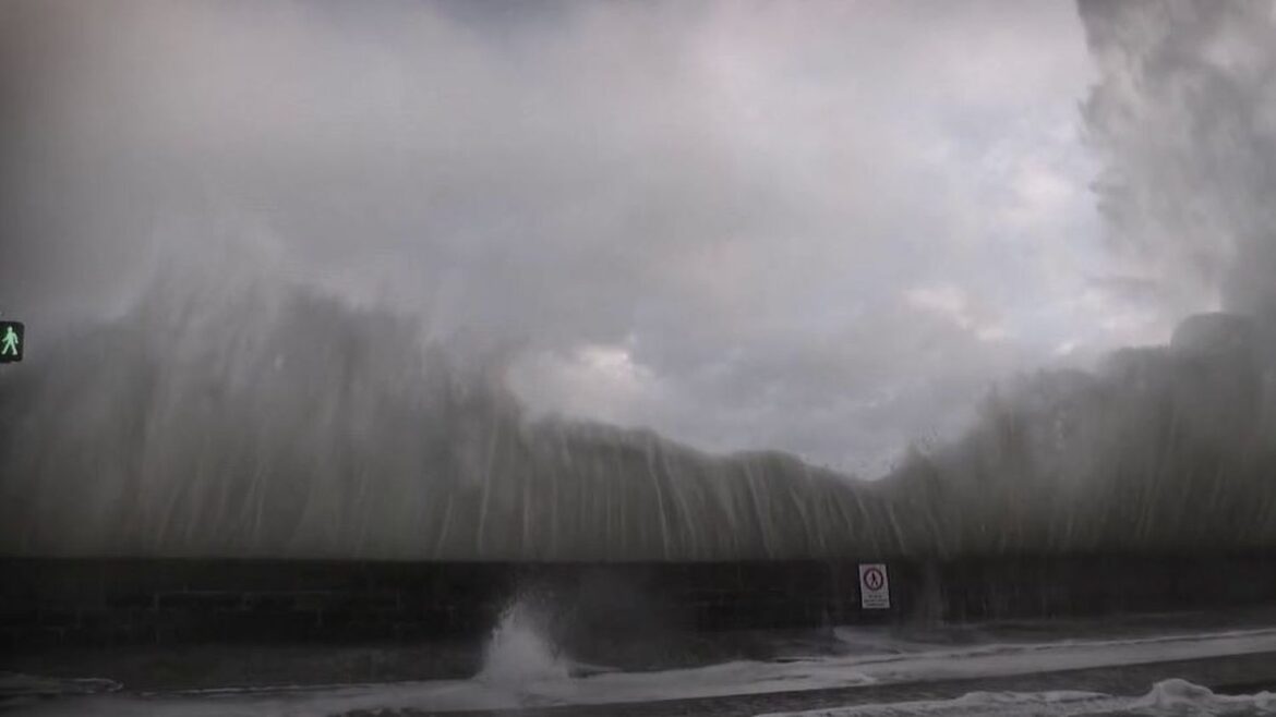 La tempête Goretti secoue le Grand Est : vents dévastateurs et crises économiques