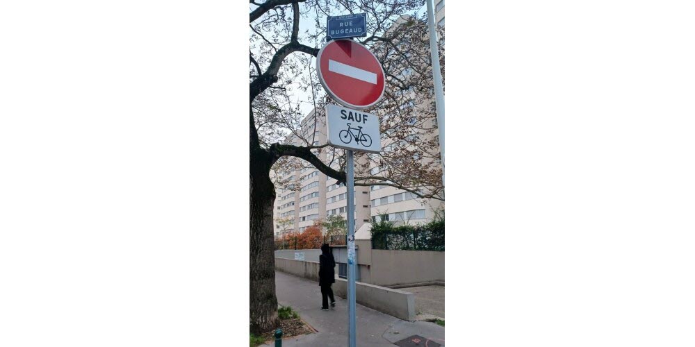 Un nouveau pas dans le conflit mémoriel lyonnais : L’Union Algérienne lance une action juridique contre le nom de Bugeaud